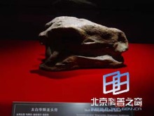 龍都珍品(一) - 自貢燈會彩燈,燈會彩燈界的行業(yè)門戶網站,聚合彩燈企業(yè)提供最全的彩燈會燈展花車信息,搜羅展會活動信息和歷屆燈會集錦