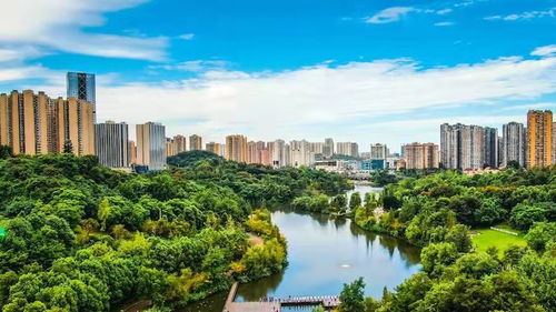 自貢的新與興 一座西部老工業城市的轉型實踐